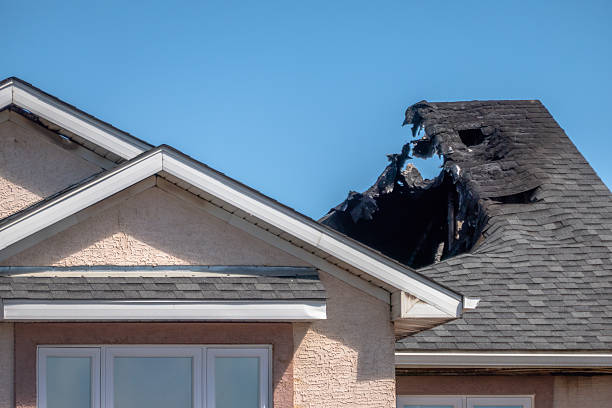 Top rated local Smoke Odor Removal specialists in Savage, MN